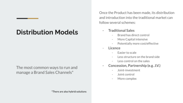 Fashion Distribution Models